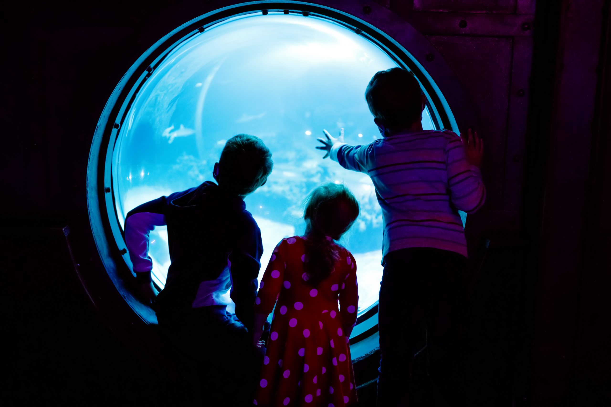 Ticketing software for attractions in Newcastle